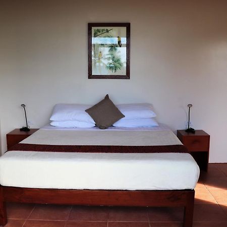 Island View Beachfront Resort أندا المظهر الخارجي الصورة