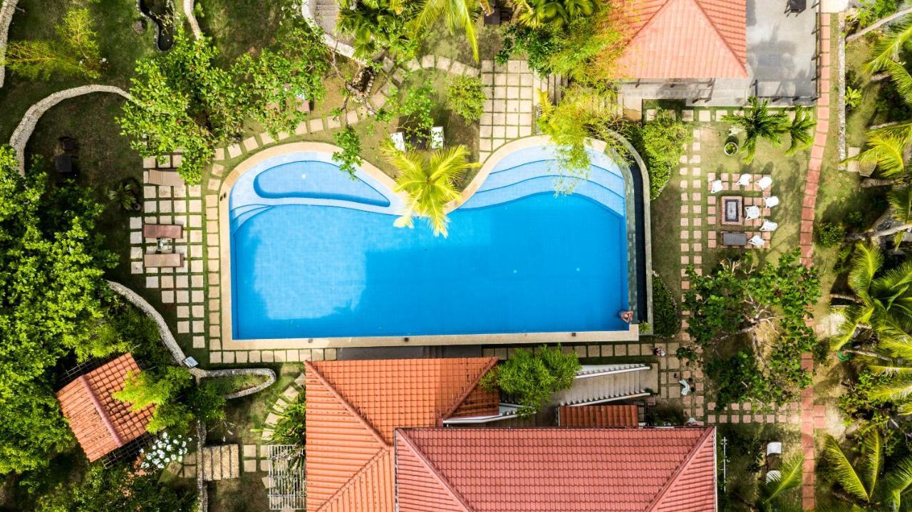 Island View Beachfront Resort أندا المظهر الخارجي الصورة
