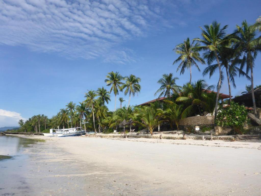 Island View Beachfront Resort أندا المظهر الخارجي الصورة