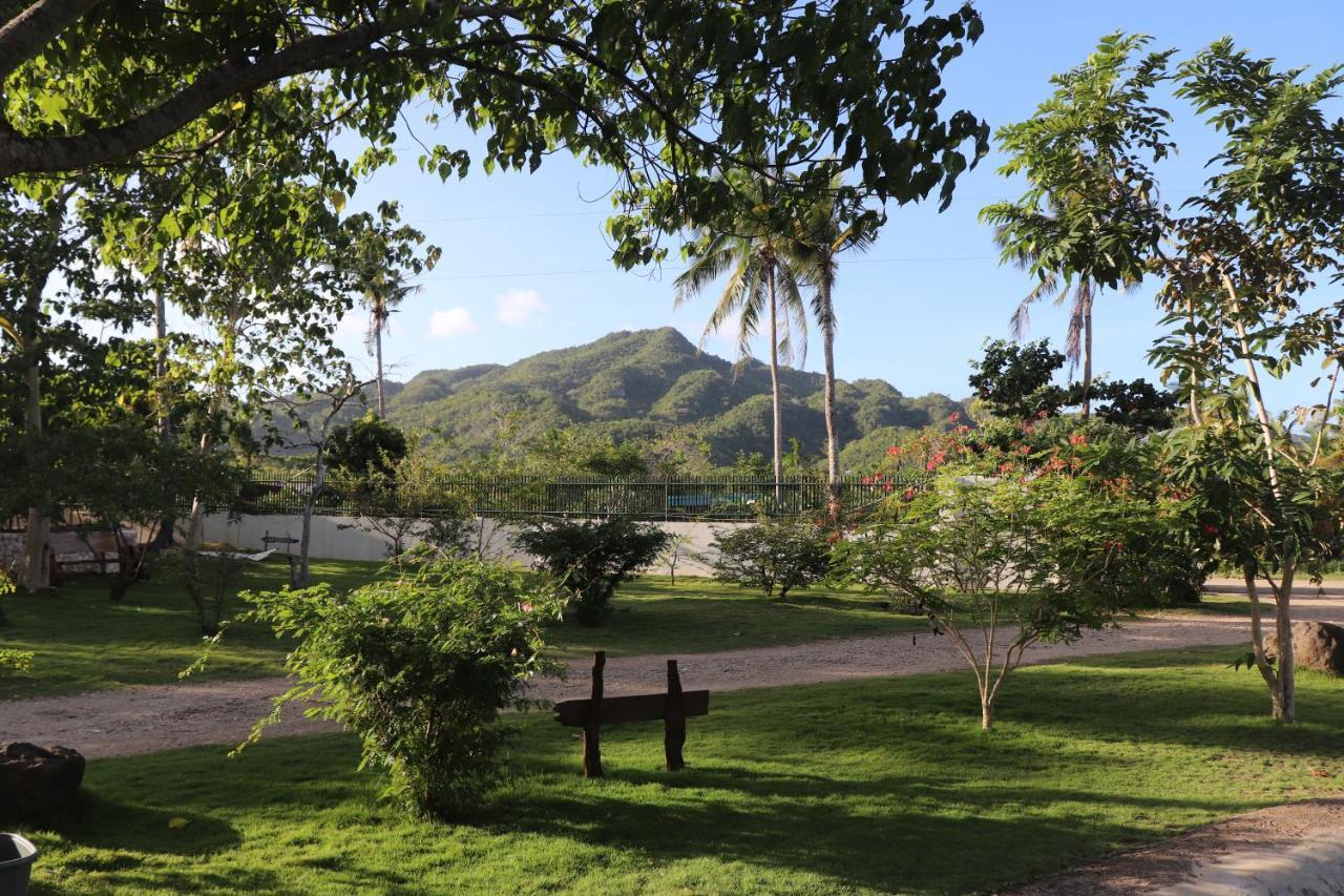Island View Beachfront Resort أندا المظهر الخارجي الصورة